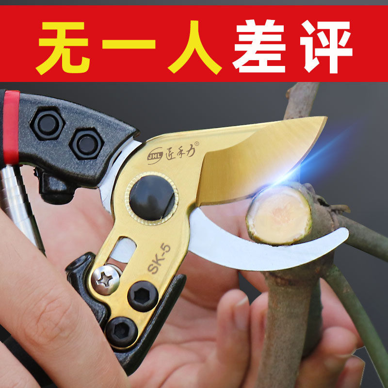 剪枝剪刀园艺果树修树枝剪刀园林花艺花枝剪子省力黄荣幸,文具电教/文化用品/商务用品,剪刀,淘宝优惠券,粉丝福利购,淘宝优惠卷