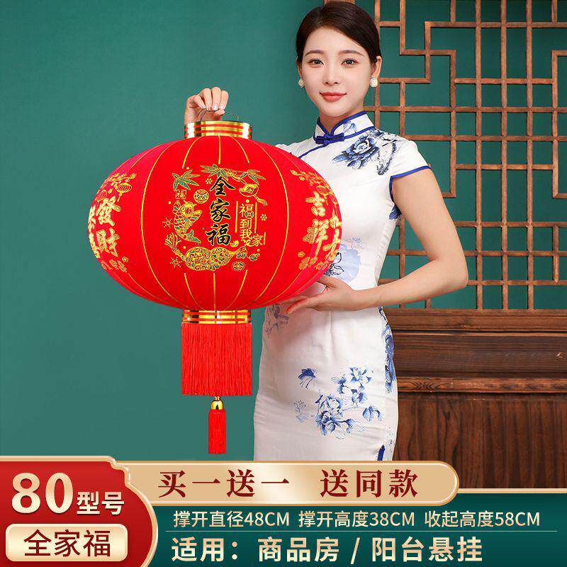 2025新款灯笼大红大全过年新年挂饰阳台大门口户外中国风春节吊灯