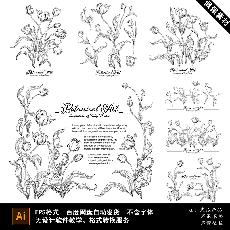 黑白线描线稿郁金香花朵花卉手绘素描插画婚礼背景AI矢量设计素材