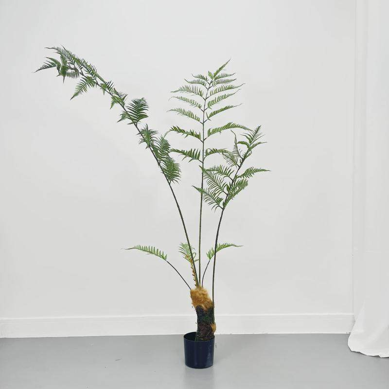 猴头蕨金丝厥仿真假树室内植物大型客厅摆件金毛狗阙盆栽仿生绿植