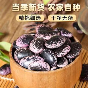 大黑花芸豆新货5斤云南农家大肾豆新鲜牛眼豆特大花腰豆紫黑云豆