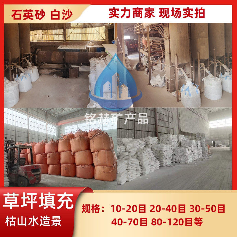 雪沙滩沙子石英砂白色细沙20-40目草坪填充沙厂家批发人造花白砂