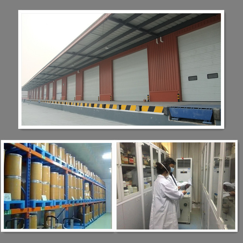 现货供应dmpt诱鱼剂二甲基-β-丙酸噻亭1kg/袋dmpt