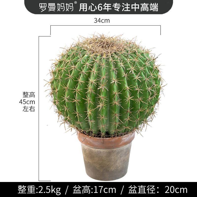 以法莲仿真大植物盆栽道具客厅服装店橱窗造景装饰仙人球摆件