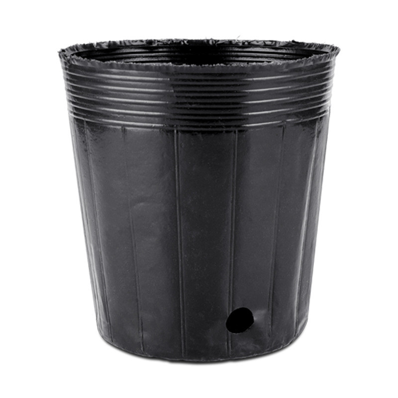 恒德利袋营养加厚透明营养钵pp育苗袋黑色育苗钵塑料一次性营养杯