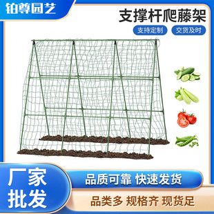 爬藤架葡萄花架豆角黄瓜架子包塑钢管植物种菜搭架园艺支撑杆窗台