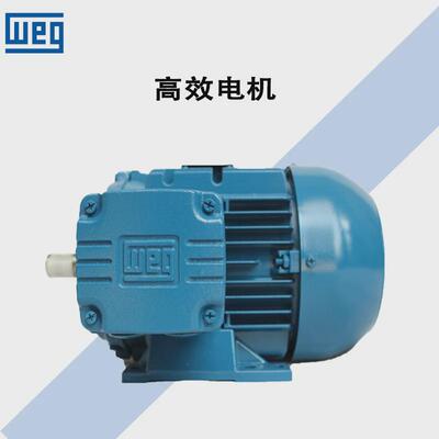 巴西WEG电机/南通万高电机W20/21/22铝壳/铸铁三相异步交流电动机
