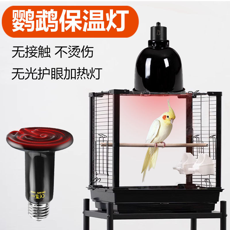 鹦鹉加热灯鸟笼鸟窝保温灯罩幼鸟过冬神器仓鼠保暖灯蜜袋鼯取暖器
