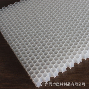 厂家供应芯蜂窝塑料蜂窝活性炭pp塑料蜂窝芯pp塑料蜂窝滤网