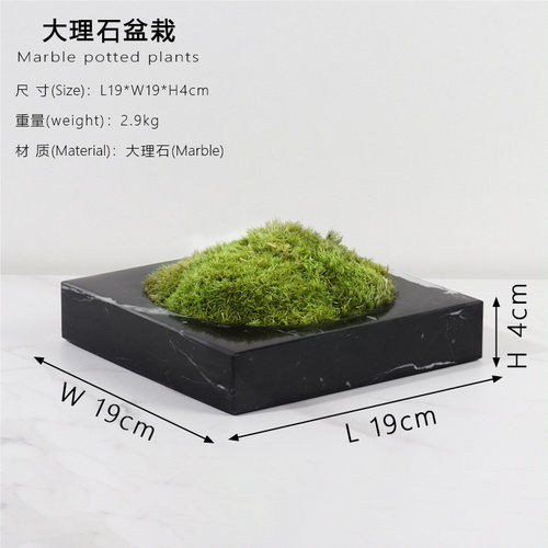 北欧轻奢天然大理石花盆花盆家庭园艺多肉盆栽绿植方形软装工艺品