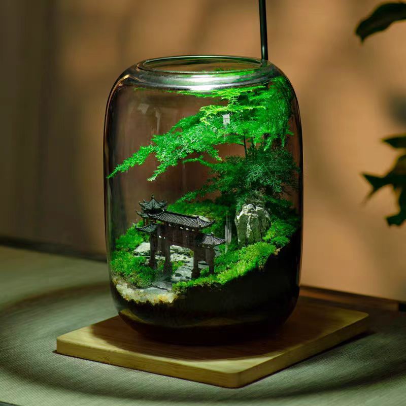 【竹庭】创意苔藓微景观生态瓶鲜活办公室盆栽成品懒人绿植好养