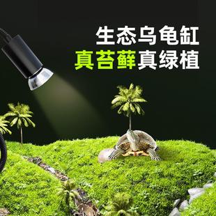 生态乌龟缸造景全套饲养鱼龟混养懒人养龟小型小乌龟专用家用