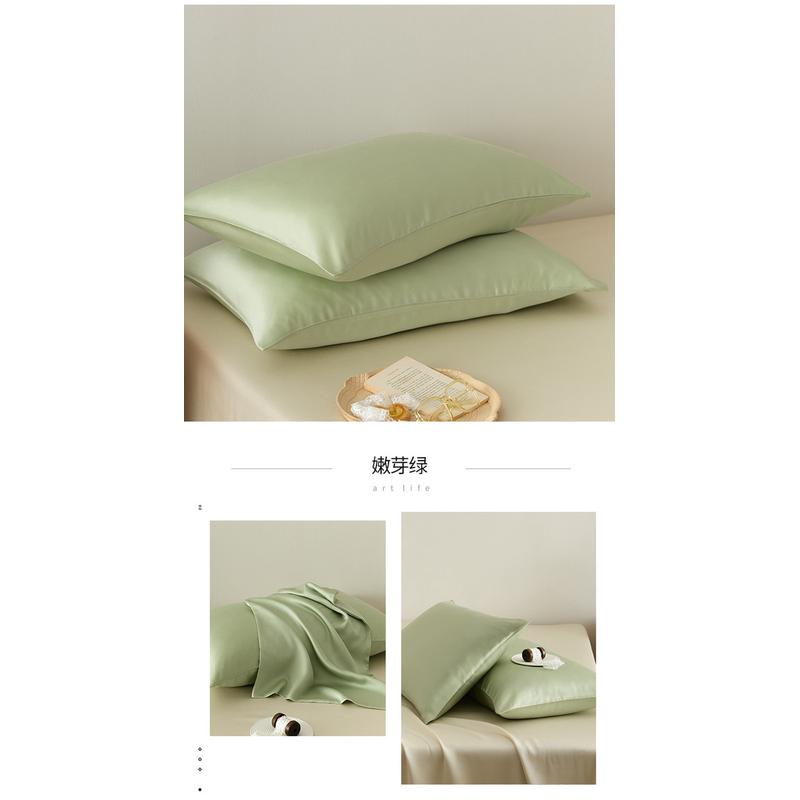 3EW180支兰精天丝枕套夏季双面凉感冰丝枕头套纯色单人枕芯套48x