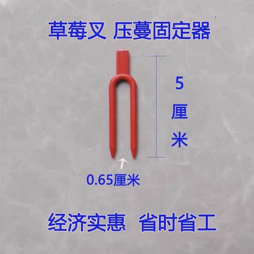 草莓叉子育苗压蔓器压苗叉藤蔓植物固定器塑料加长圆口叉生根定植