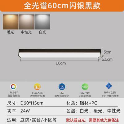 阳光房专用吸顶灯阳光棚户外阳台入户灯防雨走廊顶灯长条露台屋檐