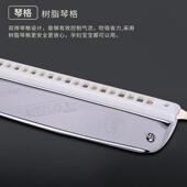 东方24孔半音阶口琴df1015成人学生初学者普及类琴入门 彩盒