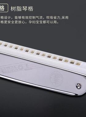 （24孔半音阶口琴df1015成人学生初学者普及类入门琴东方彩盒）