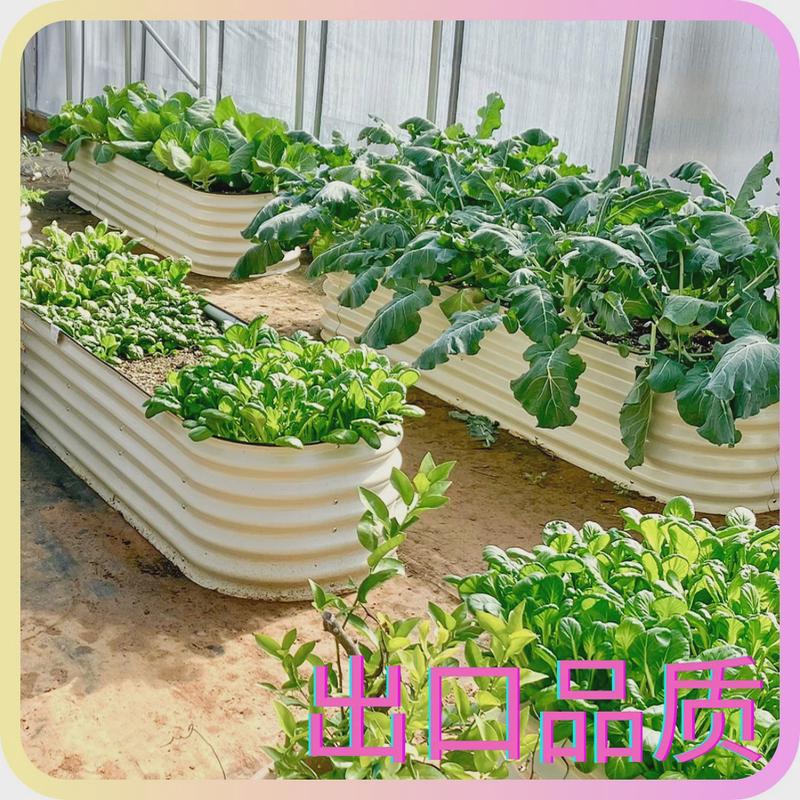 户外花园框圆形金属阳台床简约庭院蔬菜菜不锈花盆箱种植台金新款