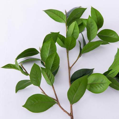 仿真尖茶叶PU软胶茶叶绢布室内客厅插花板件植物墙配材绿植摆设品