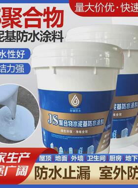 行家选屋顶防水补漏材料JS聚合物水泥基涂料卫生间水池防水材料