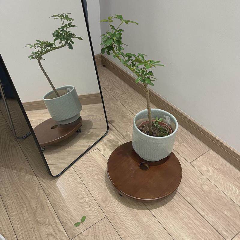 实木制花盆移动托盘底座加厚万向轮带刹车静音圆形鱼缸承重花托架