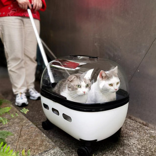 宠透明宠物拉杆箱猫包外出便携猫咪行李箱大号天使猫包猫箱子