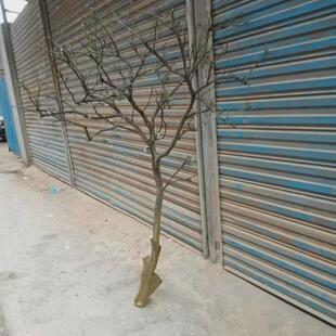 枯木风花瓶干树枝原木杈艺术枝白树枝新中式假树枝干树枝仿真树枝