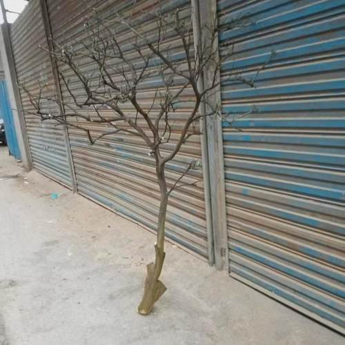 枝风花瓶干树枝原木杈艺术新中式白树枝枯木假树枝干树枝仿真树枝