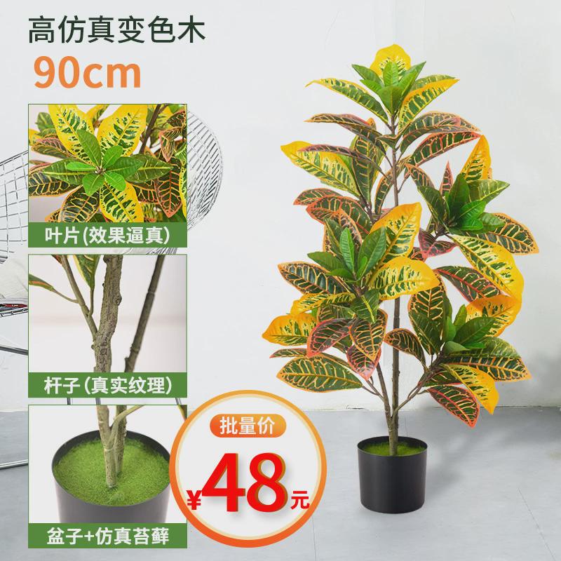仿真盆栽植物变色木榕金洒仿真花七彩变叶客厅装饰假花假树摆件