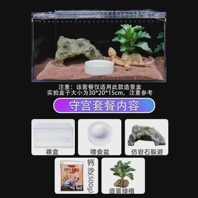 爬虫饲养盒宠物箱透明亚克力蜘蛛守宫角蛙甲虫蝎子造景爬宠防逃逸