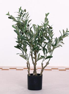 绿色仿真盆栽室内商场酒店假树落地装饰树玻璃钢绿植旅人蕉盆景