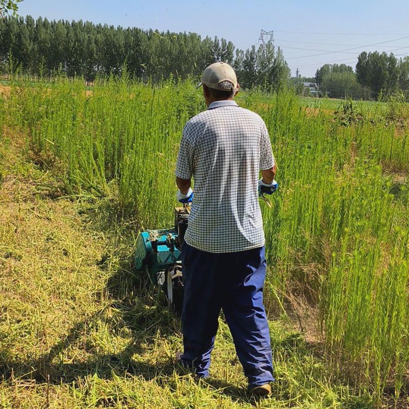 荒地杂草快速粉碎割草手扶强劲果园除草机机动力式桃园碎草机