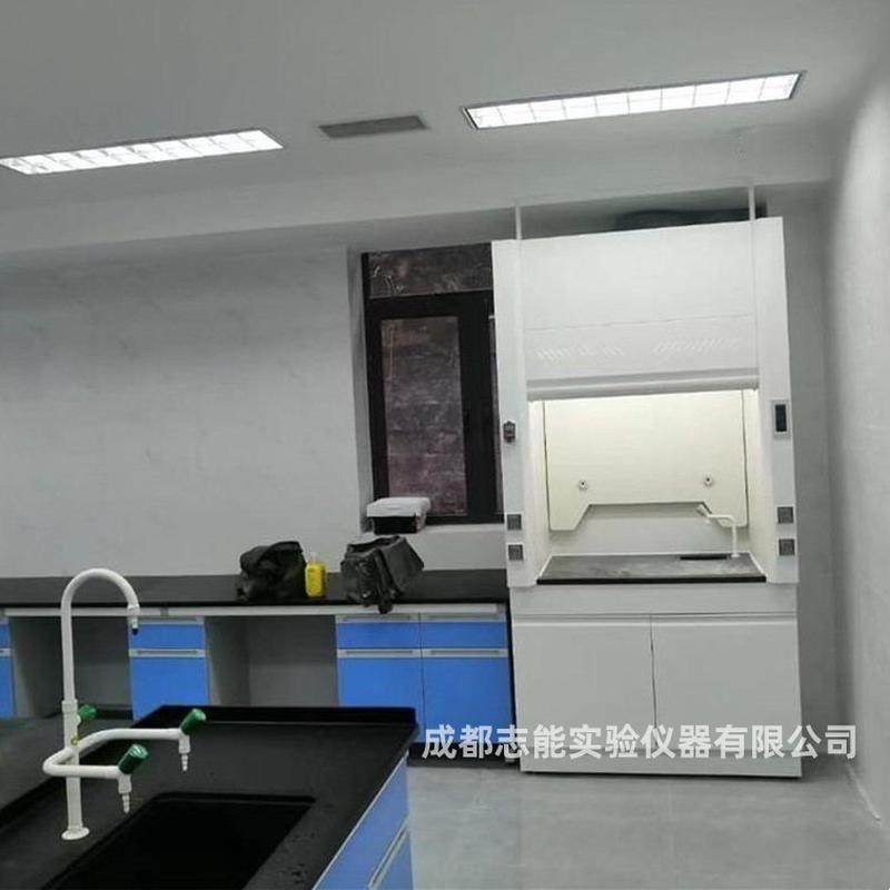 成都实验室排风柜全钢通风橱PP通风柜化验室桌上型整体型抽风柜,文具电教/文化用品/商务用品,教学仪器/实验器材,淘宝优惠券,粉丝福利购,淘宝优惠卷