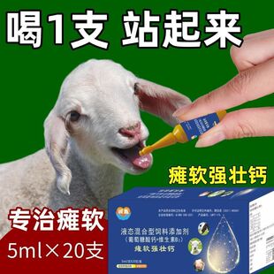 产后犊牛软瘫特效灵救命液兽用刚出生小羊羔补钙母羊产前羔羊厂家