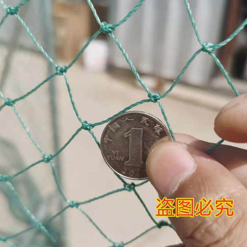 户外特大号鸡笼养殖养鸡棚子大棚骨架鸽子鸡舍棚搭建鸡屋家禽屋顶