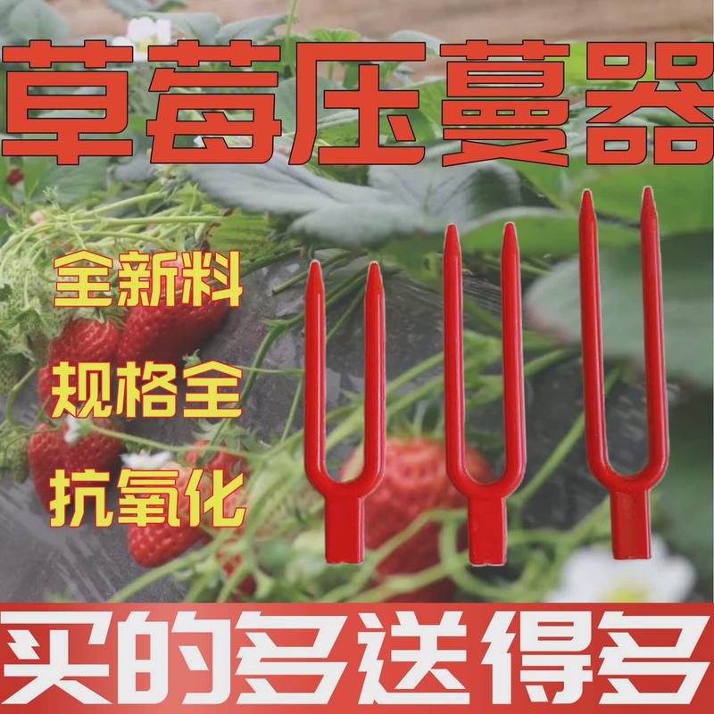 草莓叉子育苗压蔓器草莓瓜果育苗叉藤蔓植物固定器塑料生根定植