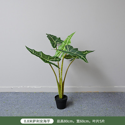仿真萨利安海芋北欧风家居商场橱窗装饰大型室内植物落地摆件盆栽