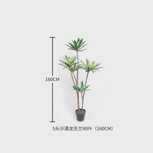 高端沙漠龙舌兰落地仿真绿植盆栽商场造景橱窗服装店仿真假树厂家