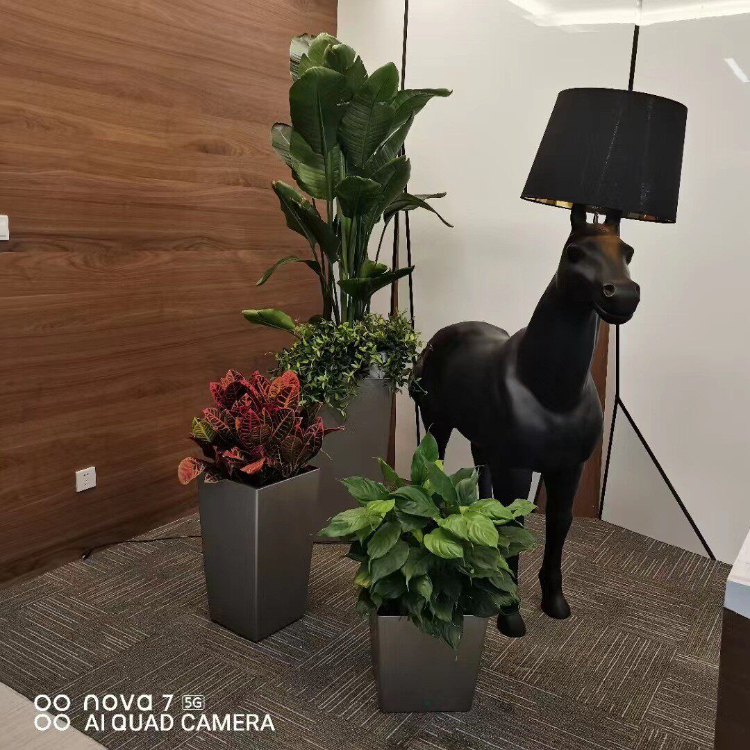 塑料花盆方形高筒落地三组合自吸水懒人花盆室内花器花盆简约现代