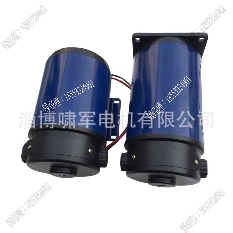 110zyt155永磁马达24v直流直流电机700w3000转博山微电机厂家