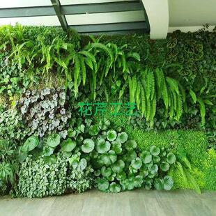 仿真苔藓垂直绿化多肉相框壁挂绿植墙植物墙墙仿真花装饰墙