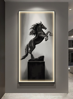 28n现代轻奢玄关装饰画晶瓷镶钻带led灯光画客厅感走廊挂画壁