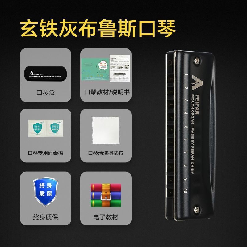 feifan/飞繁十孔攀岩者c调布鲁斯口琴mc20初学者入门专业演奏口琴
