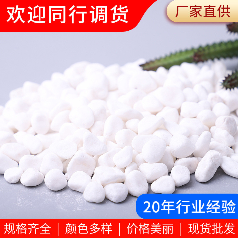 白色鹅卵石雪花白园林造景园艺景观白色小石子盆栽多肉铺面石头