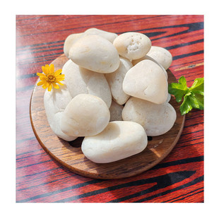 江西天然彩石子3 拇指石头颗粒大小绿头水族养鱼彩色石