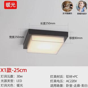 户外吸顶灯防水防虫房檐庭院凉亭入户大门口走廊过道室外阳台顶灯