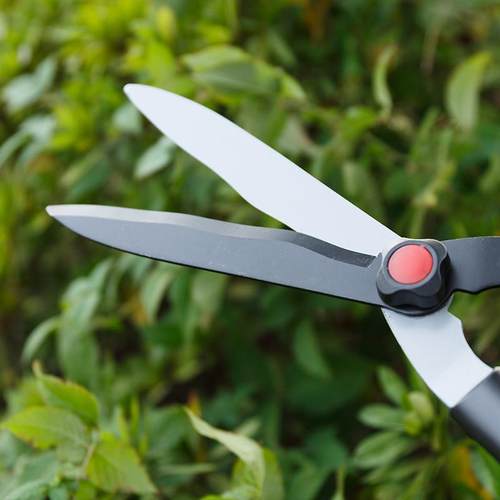 台湾刘盛绿篱剪大剪刀修枝剪花剪树枝园艺剪刀剪篱笆