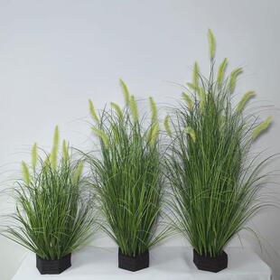 仿真春色狗尾巴草狼尾草仿真装饰造景花艺软装布置仿真绿植盆栽