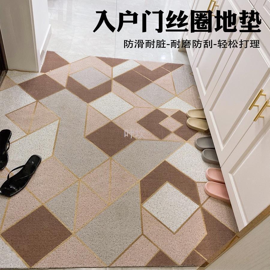 Y禊3北欧入户门地垫丝圈进大门垫 pvc脚垫门口户外可裁剪地毯耐脏