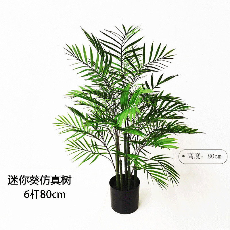 款ins风假树葵树盆栽迷你葵树小盆景室内绿植造景网红景观树